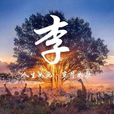 幻灵圣域手游下载