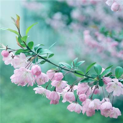 神皇奇迹手游(暂未上线)v1.0 安卓版