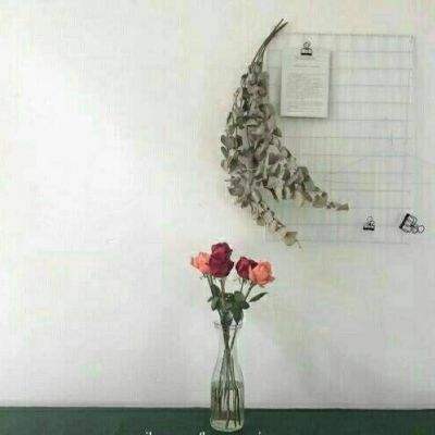 天子传说破解版下载